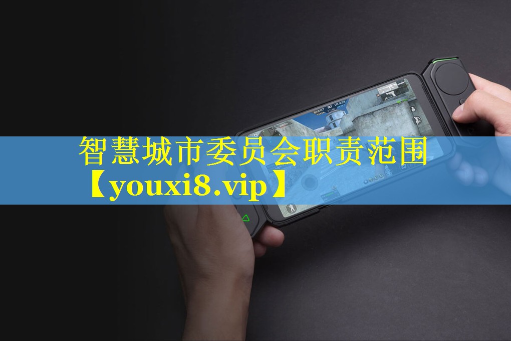 智慧城市委员会职责范围
