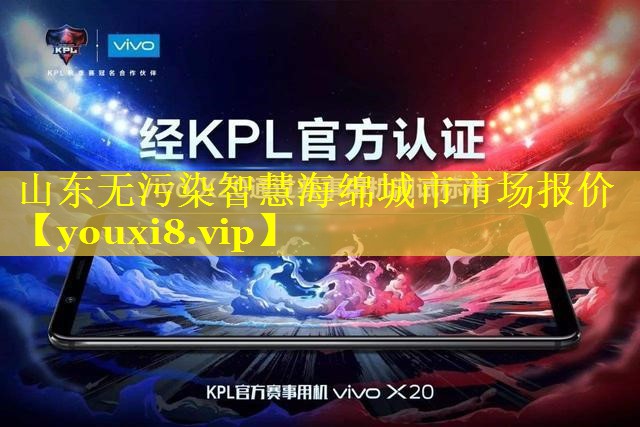 山东无污染智慧海绵城市市场报价