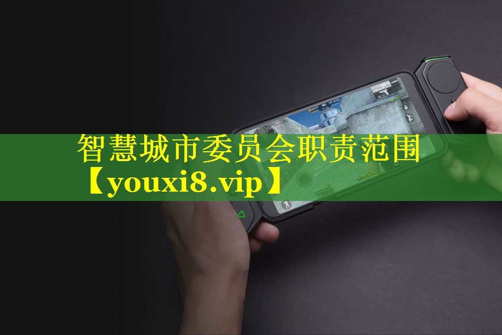 智慧城市委员会职责范围 智慧城市委员会职责范围