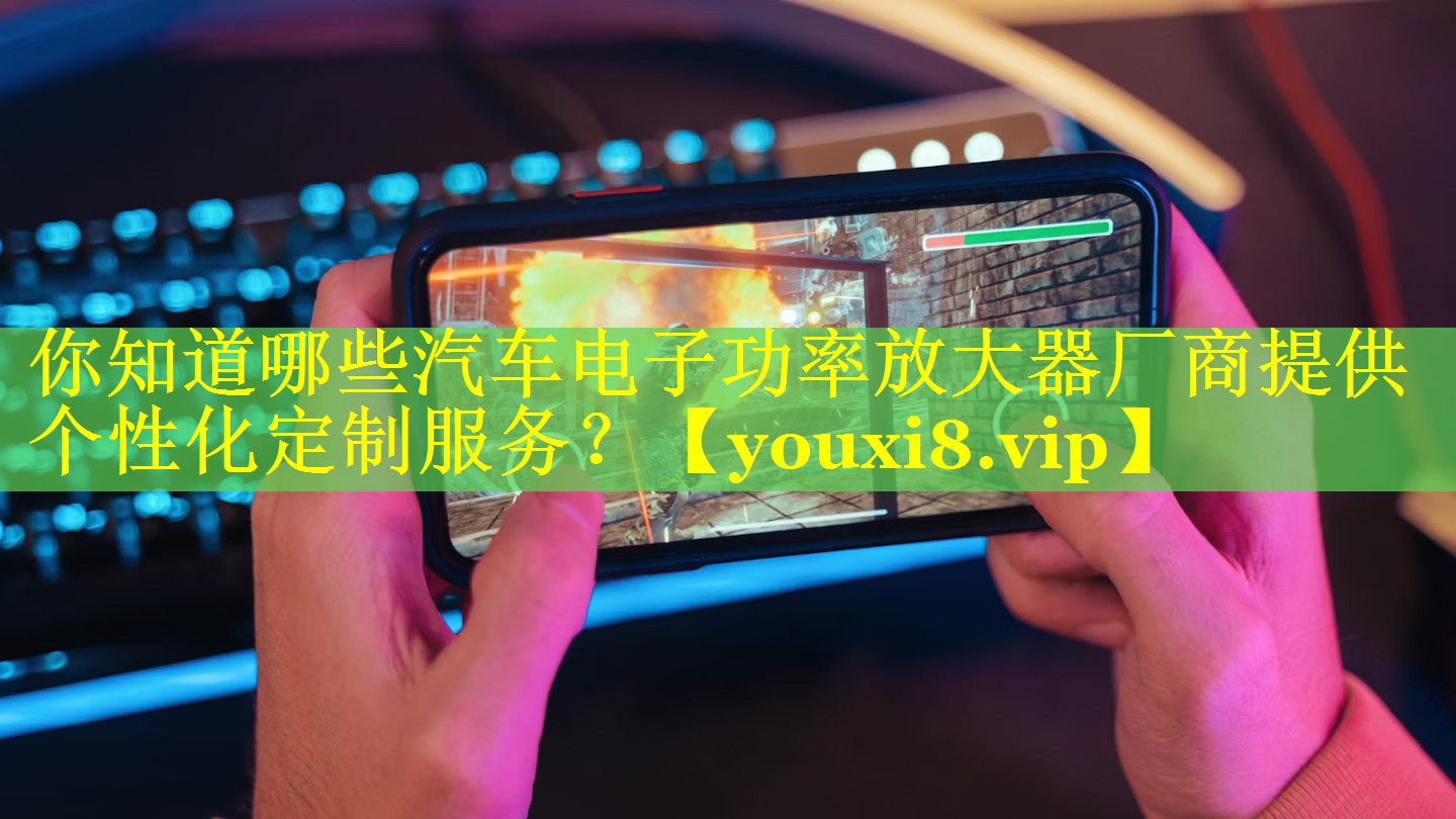 你知道哪些汽车电子功率放大器厂商提供个性化定制服务？