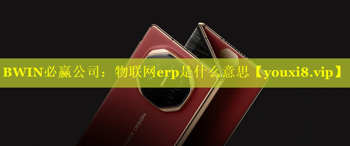 BWIN必赢公司：物联网erp是什么意思