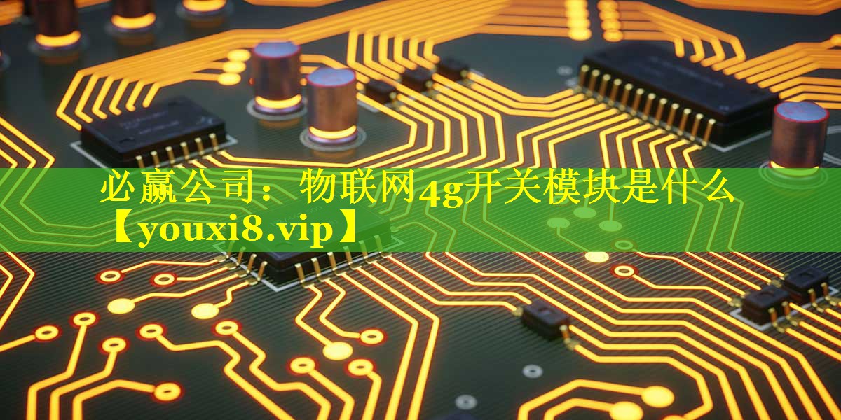 必赢公司：物联网4g开关模块是什么