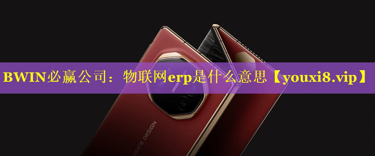 物联网erp是什么意思